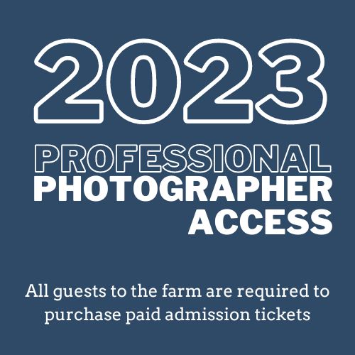2023 Photography Pass