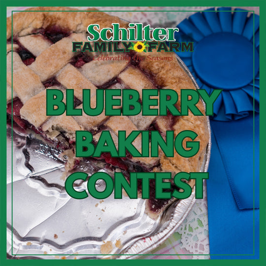 Blueberry Dessert Contest Entry