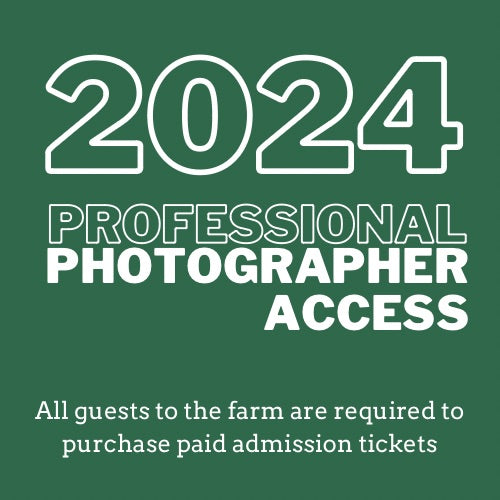 2024 Photography Pass