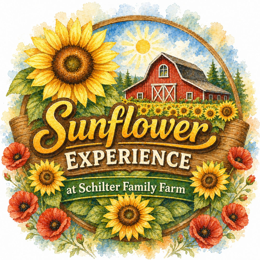 Weekend Sunflower Experience 2026