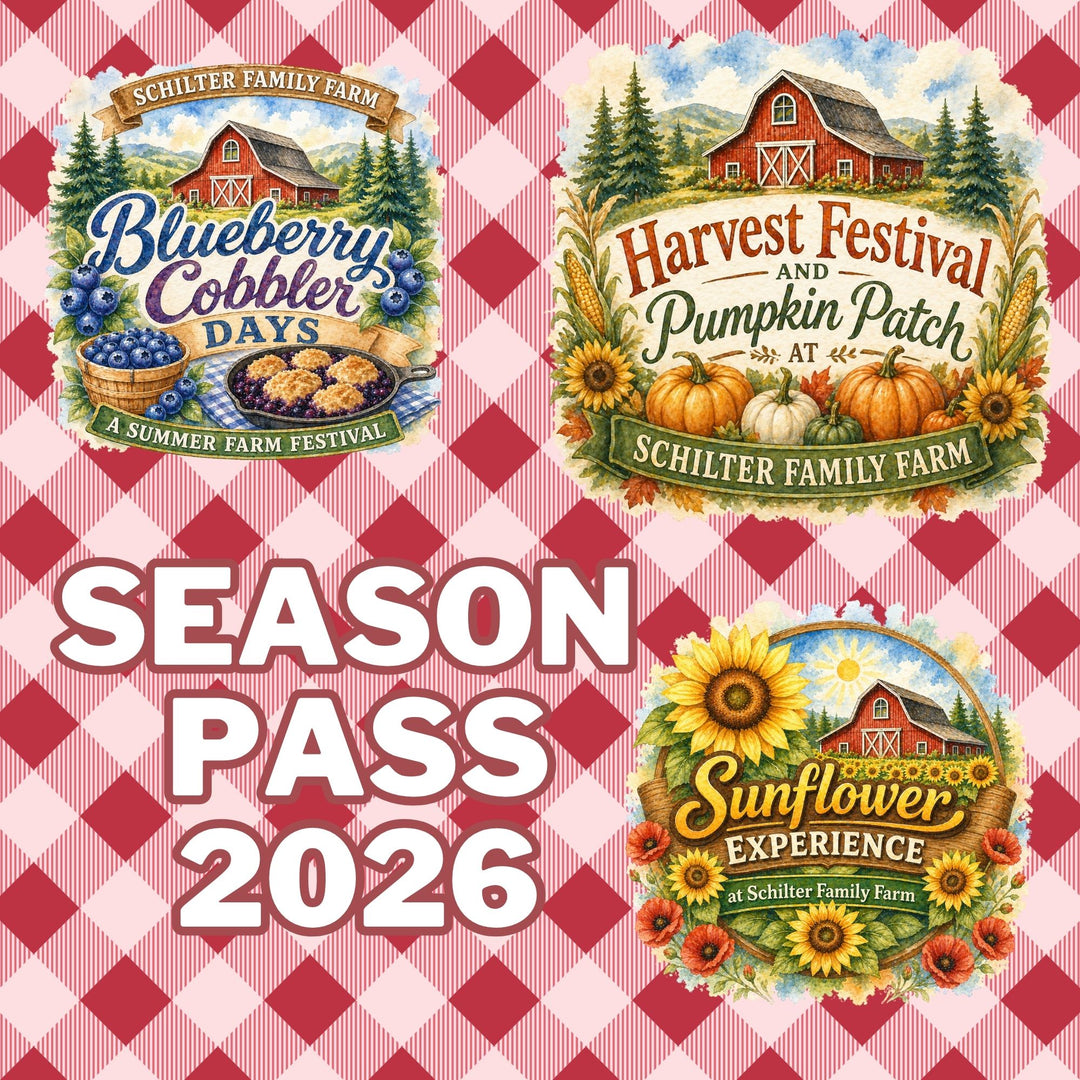 Early Bird Pass 2026